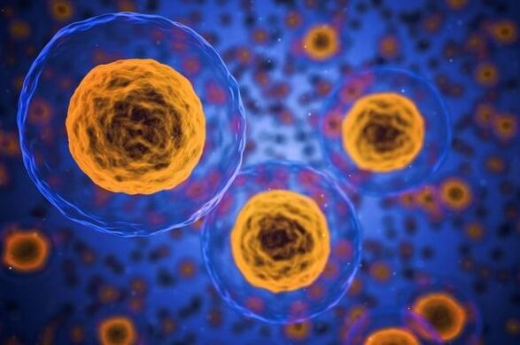 Πώς λειτουργεί η διαδικασία απώλειας βάρους;